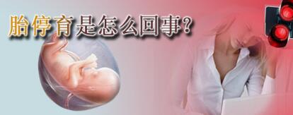 在家怎么知道胎儿是否停止发育,腹中胎儿停止发育怎么安慰