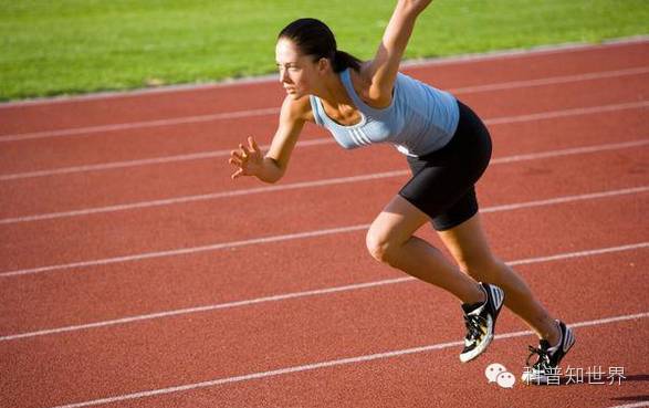 2022年冬季奥林匹克运动会常识,奥林匹克节日