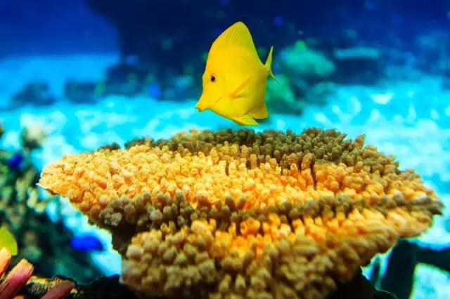 有生之年一定要去一次泰国,有生之年一定要去一次的景区