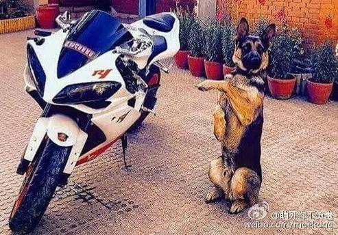 杨幂c罗,原来c罗才是最终赢家