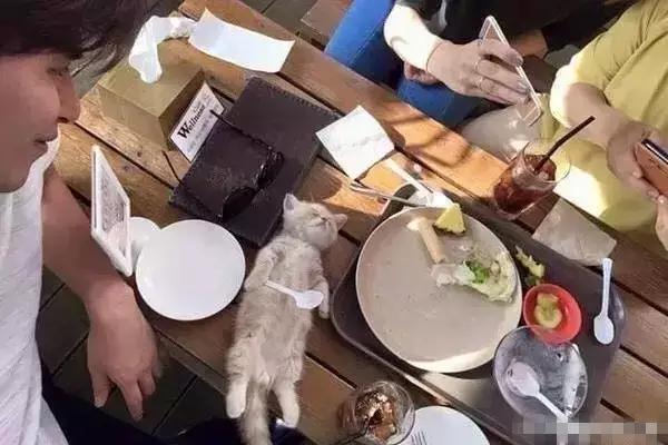 杨幂c罗,原来c罗才是最终赢家