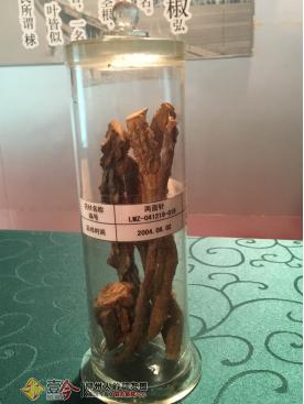 探秘地下核工厂,两面针生产线