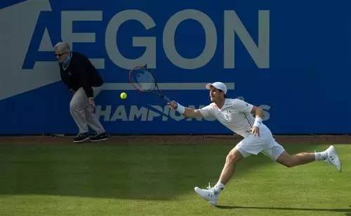 玩美狐度：狐说——绿（网球足球）