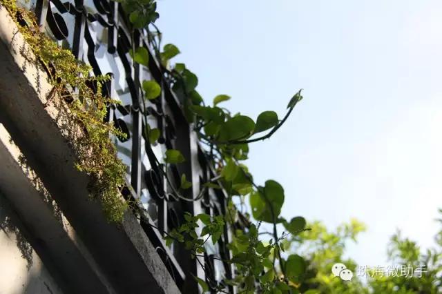 珠海最值得一去的特色街，我只去过5个，你呢？