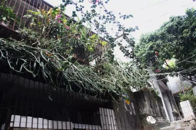 珠海最值得一去的特色街，我只去过5个，你呢？