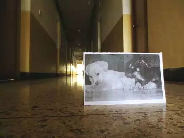 又是一年毕业季时光荏苒,又是一年毕业季满怀青春气息