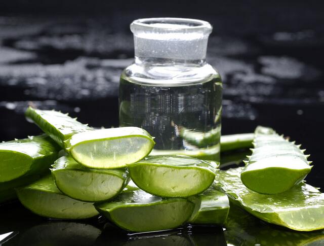 库拉索芦荟养殖方法,芦荟的养殖方法和关注事项