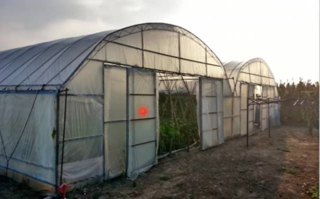 葡萄大棚材料哪里有,葡萄大棚都有什么配件