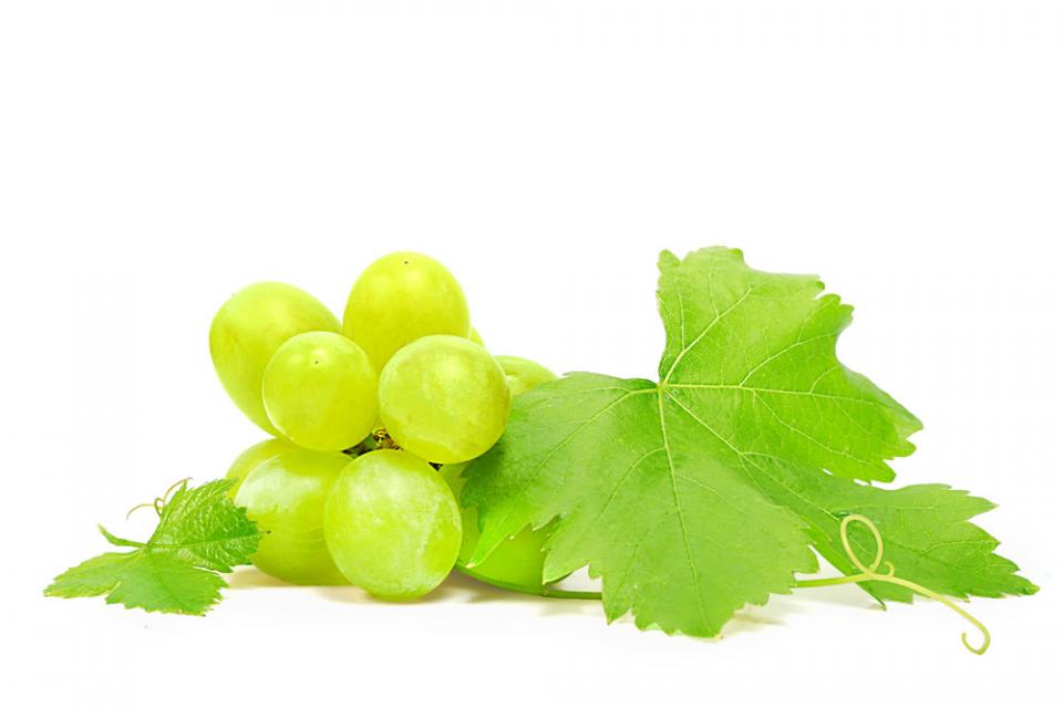 乳腺炎涨奶小偏方,浆细胞乳腺炎的小偏方