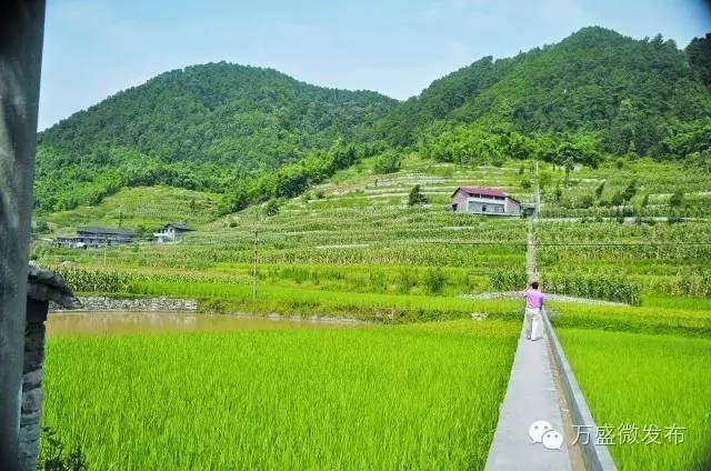 你想知道的地产故事都在这里,你想知道的一切图片