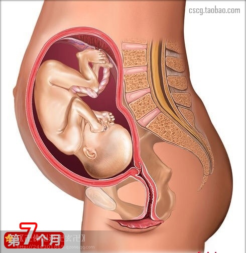 受益匪浅新手爸妈必读