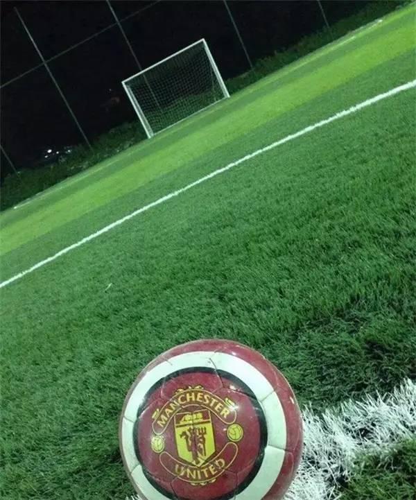 欧洲杯足球在哪里踢得好,2024年欧洲杯足球场一览表最新版