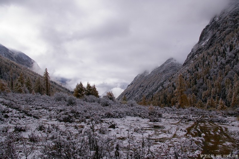 古道，细雨，暮雪-我的长坪沟半截秋色之旅