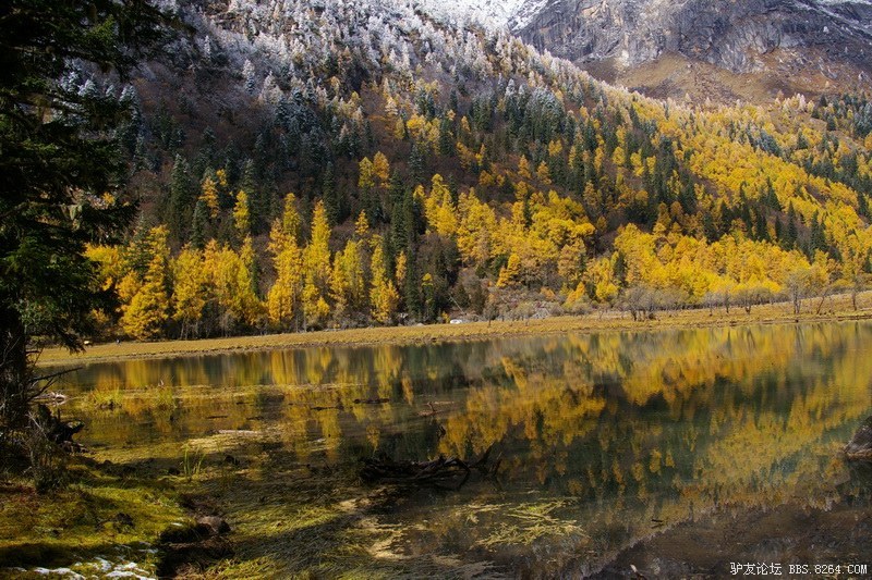 古道，细雨，暮雪-我的长坪沟半截秋色之旅