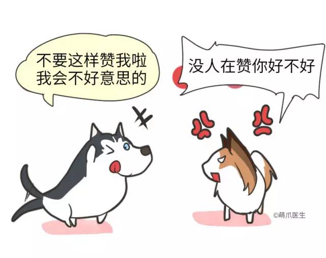 身娇贫乳双马尾，准备好舔屏了吗？！