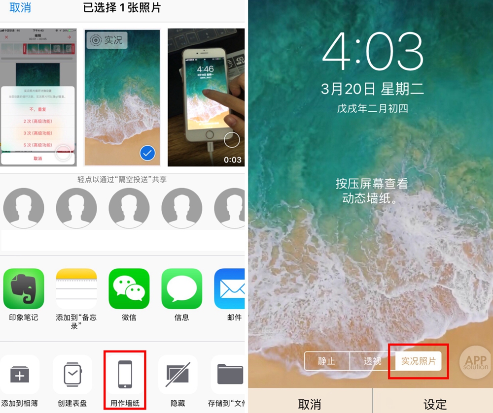 livephoto功能在哪里,livephoto三种效果