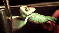 胃病饮食全攻略,胃病真的没办法根治吗