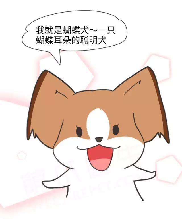 身娇贫乳双马尾，准备好舔屏了吗？！