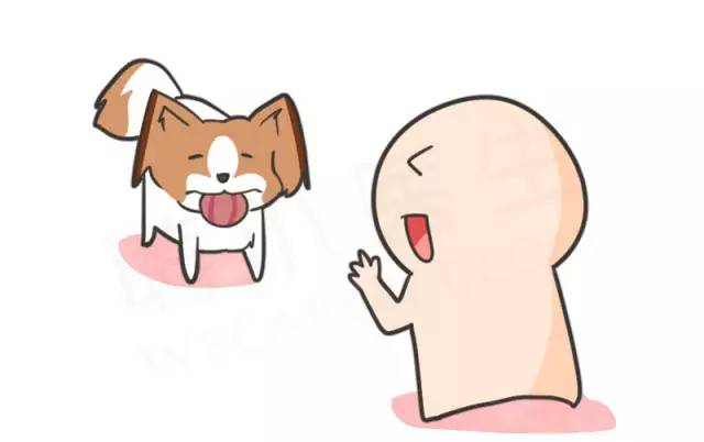 身娇贫乳双马尾，准备好舔屏了吗？！