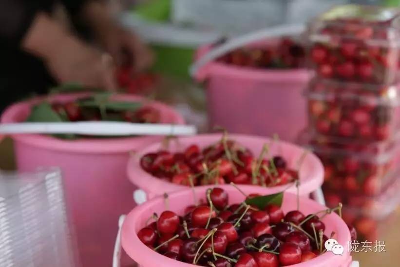 惊呆樱桃红了，美女盛情邀请，你是约呢，约呢，还是约呢！