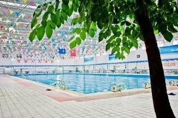 洛阳游泳馆一年四季都可以游泳吗,炎炎夏日不玩水怎么行