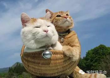 空姐吐槽航空餐难吃,女空姐吐槽飞机餐难吃