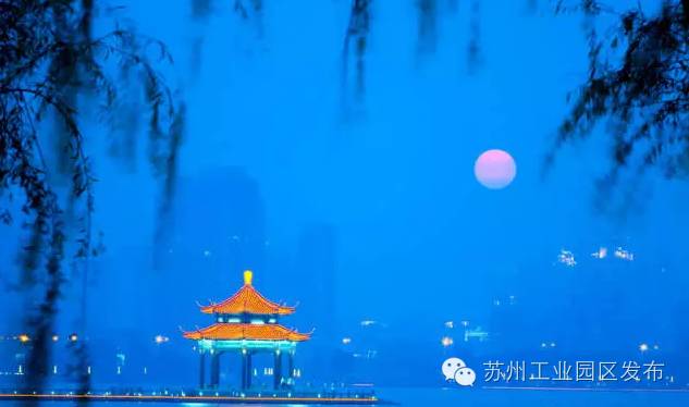 欧洲杯来啦,欧洲杯来了活动