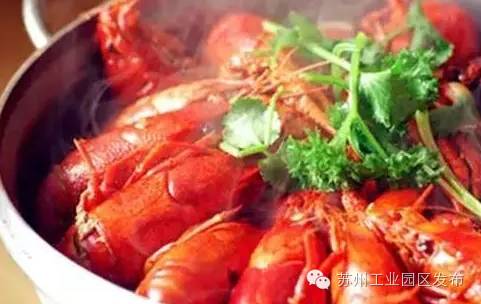 欧洲杯来啦,欧洲杯来了活动