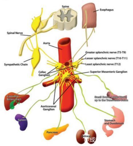治疗病人的催眠方法,如何发挥自我催眠潜能治疗癌症