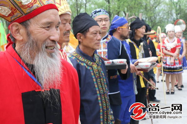 杜仲雄花烂漫开慈利富硒产业春风来