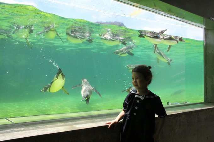 日本迪士尼五日游,东京迪士尼一日游最佳路线