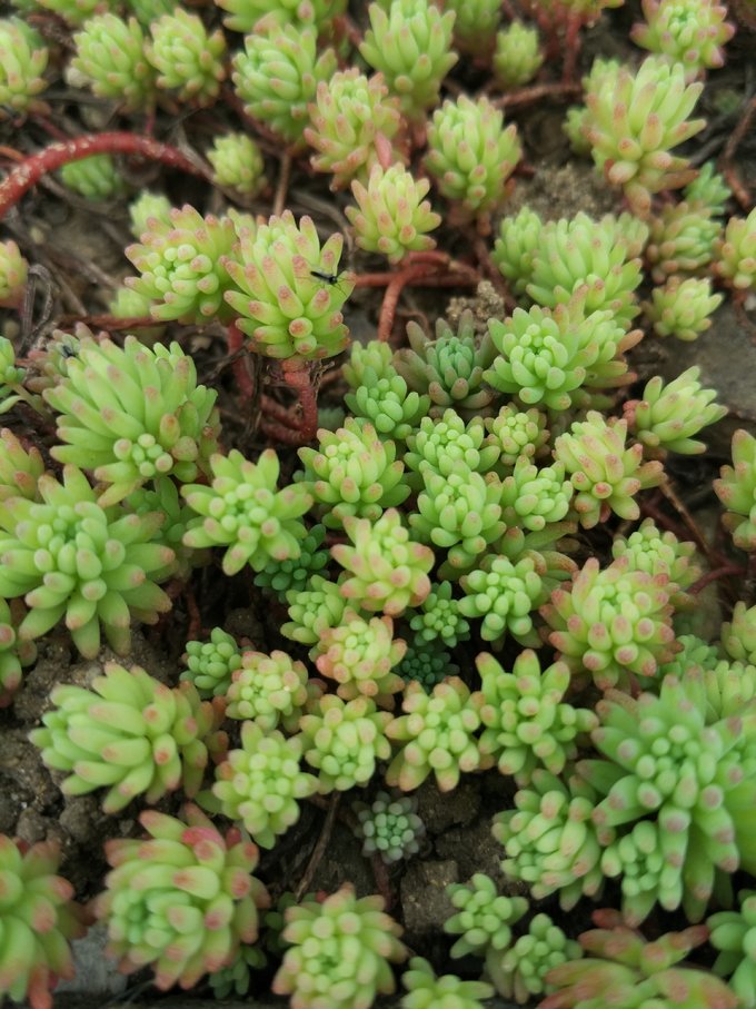 4月在冷门的日本乡下踏个春~小松、金沢5日