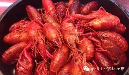 欧洲杯来啦,欧洲杯来了活动