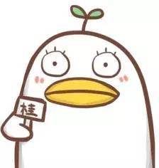 最强大脑同款道具,最强大脑的道具都收到哪里了