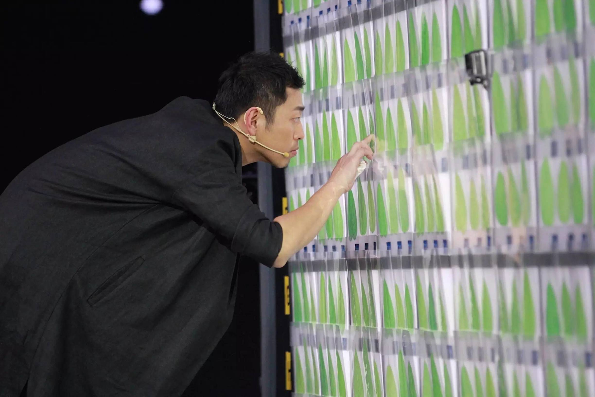 最强大脑同款道具,最强大脑的道具都收到哪里了