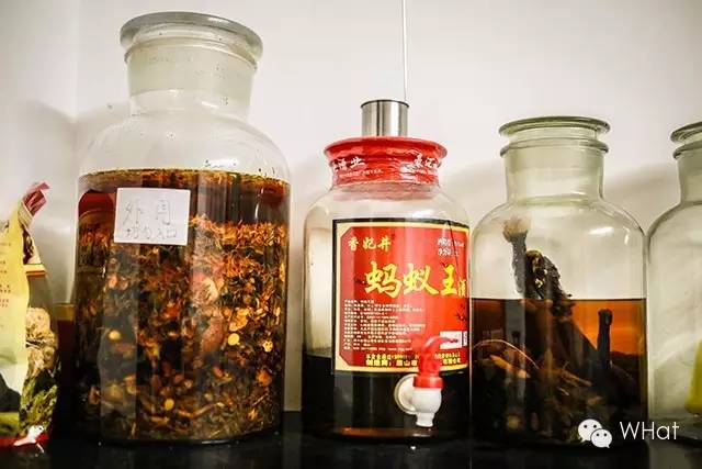 nba哪个队队医被称为神医,nba队医为什么叫神医