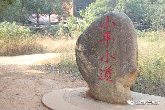 朱虹采访江西完整版,朱虹江西旅游