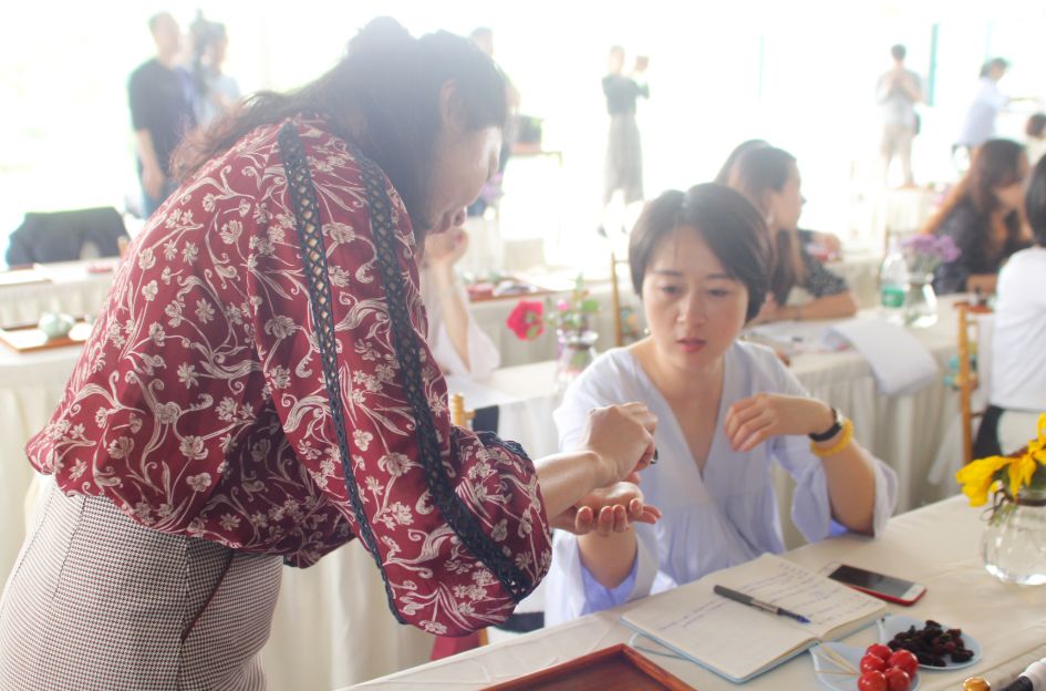 2020崇明花卉博览会,崇明花博会郁金香