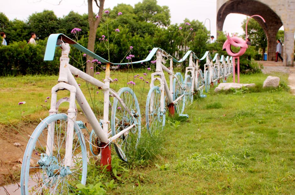 2020崇明花卉博览会,崇明花博会郁金香