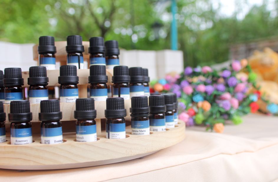 2020崇明花卉博览会,崇明花博会郁金香