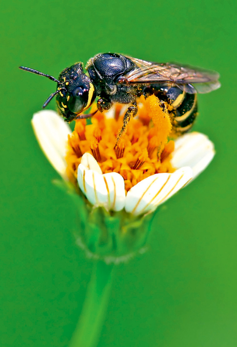 环形补光灯怎么使用不会曝光,环形补光怎么打光