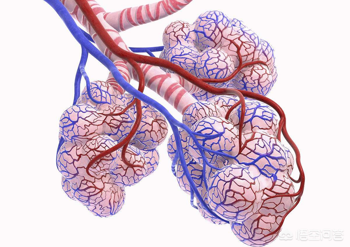 肺内常有气泡破裂的感觉并有疼痛感是怎么回事，可能是气胸前奏