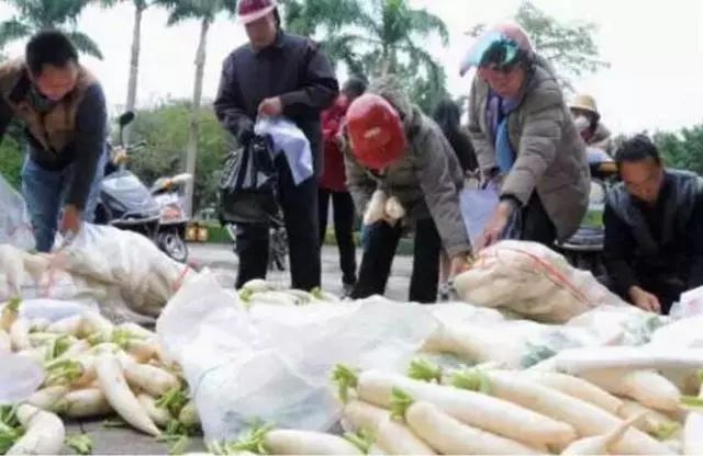 广西的感动时刻,感受温暖的瞬间