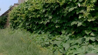 飞利浦436m6vbpa,飞利浦43寸分屏显示屏