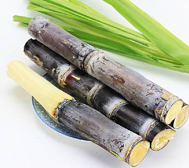 协和专家告诉你常见食物该怎么吃,来自营养专家的饮食建议