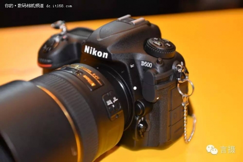 拍鸟尼康d5还是d500 (尼康d5与d500对焦系统的区别)
