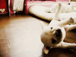 怎么委婉拒绝借给别人相机,怎样优雅的拒绝别人向你借东西