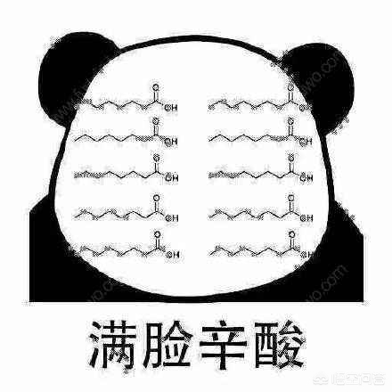 互联网企业怎样拿流量变现,流量怎么变现成现金呢