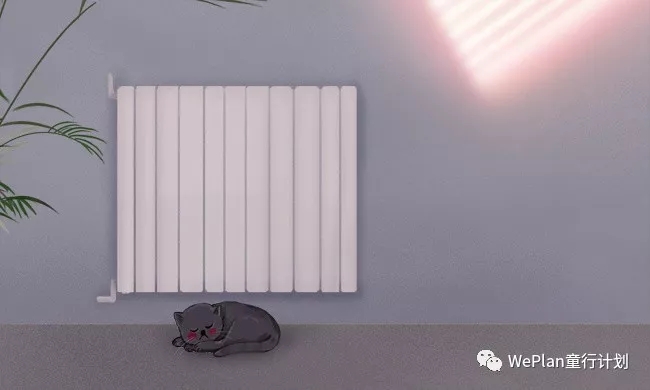 郝景芳的教育方法,郝景芳中国发展研究基金会