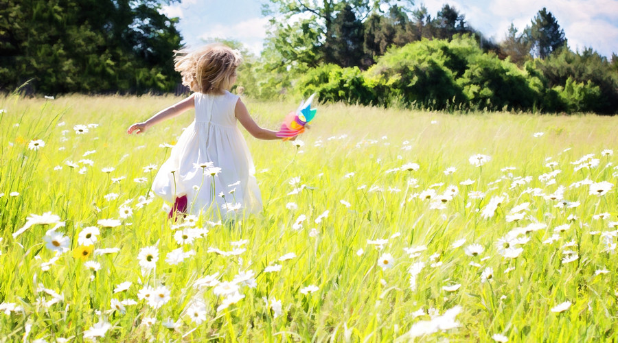 郝景芳的教育方法,郝景芳中国发展研究基金会